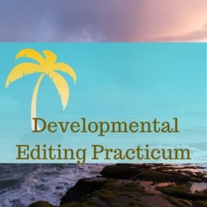 how to edit a novel