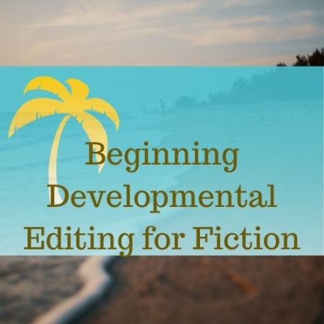 how to become a developmental editor
