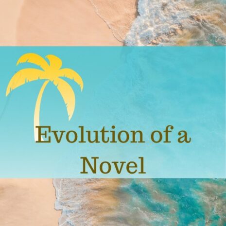 Evolution of a Novel-jpg Evolution of a Novel-jpg