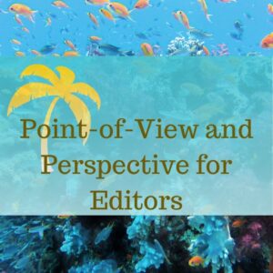 Point-of-View and Perspective for Editors
